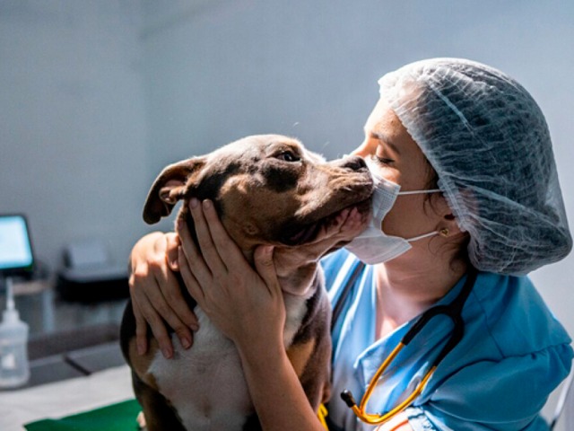 Impulsan una guardia veterinaria municipal en Olavarr�a